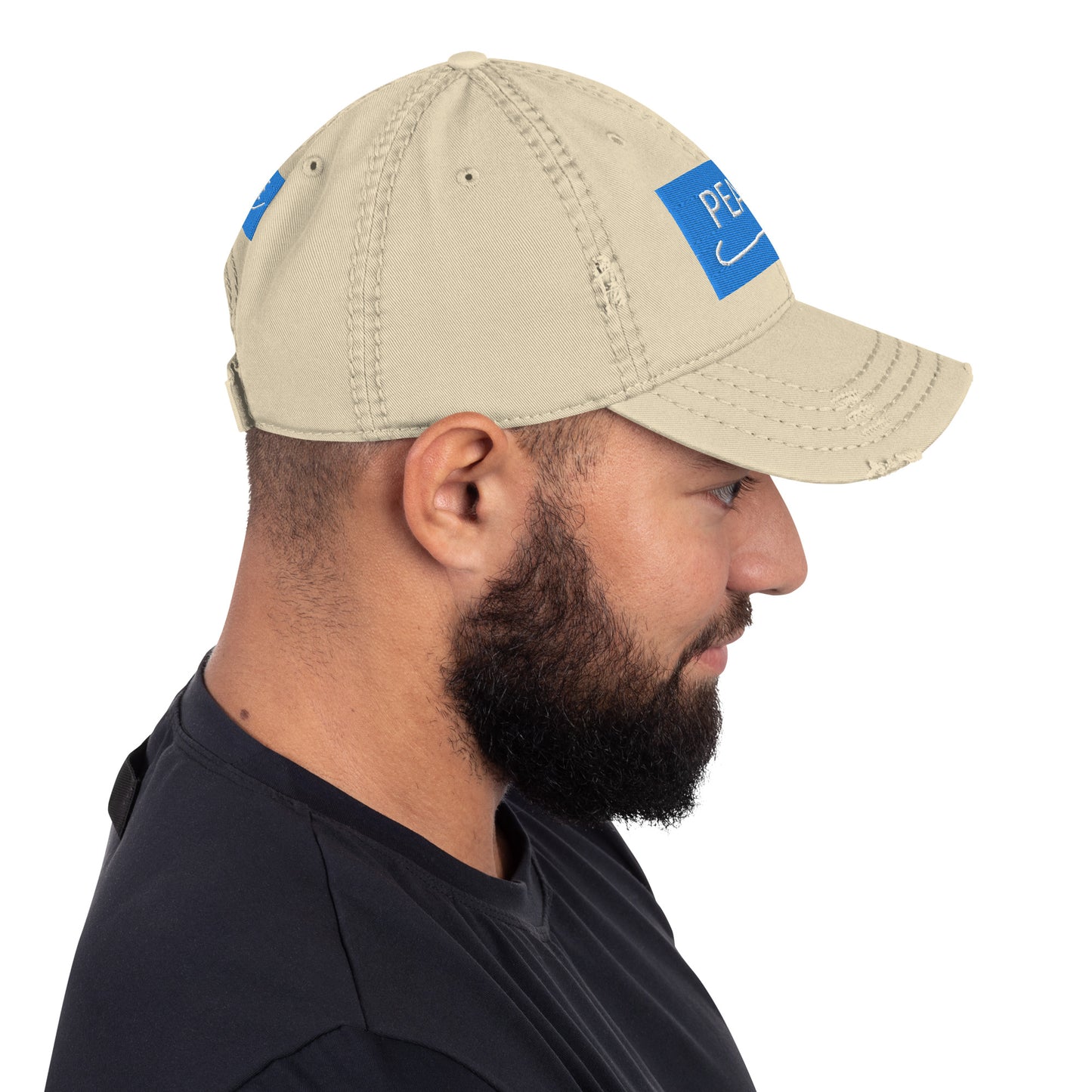 Distressed Dad Hat